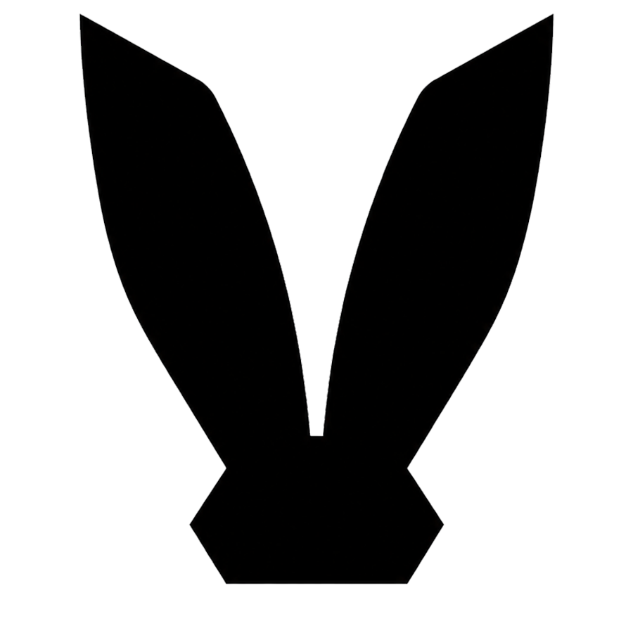 RabbitNet logo
